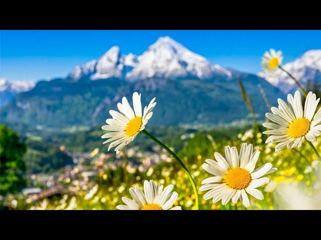 Switzerland  AMAZING Beautiful Nature with Soothing Relaxing Music, 4k Ultra HD by Tim Janis