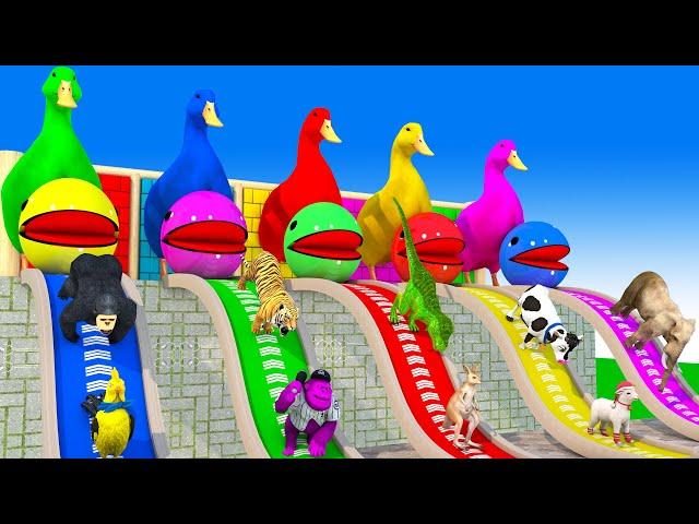 5 Giant Duck Cartoon, Cow, Mammoth, Elephant, Lion, Paint Wild Animals Crossing Fountain Animations