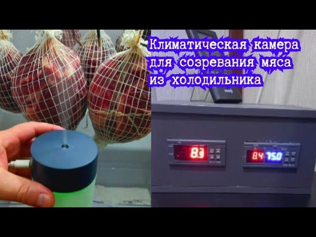 Климатическая камера для созревания мяса из холодильника 