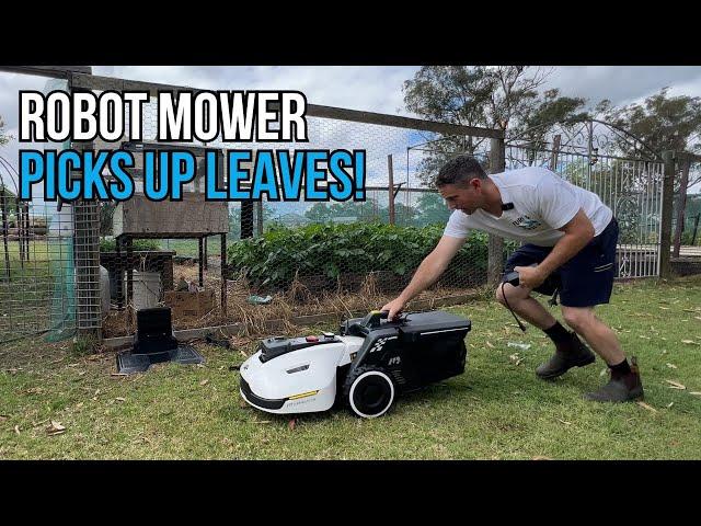 Robot Mower LEAF TORTURE TEST. World's First Lawn Sweeping Robot Mower. Mammotion Yuka Robot Mower