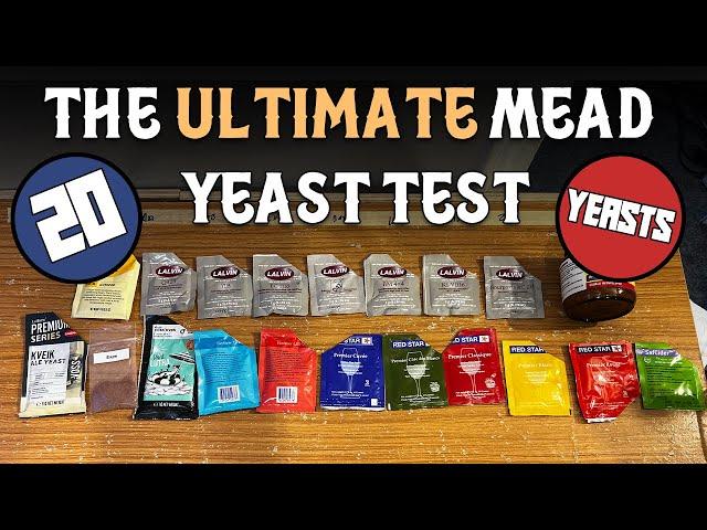 The Ultimate Mead Yeast Test (20 Different Yeasts with Descriptions!)