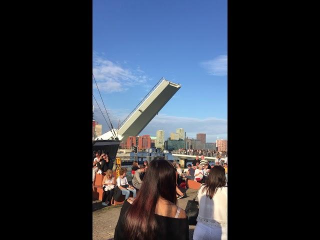 Puente en Rotterdam