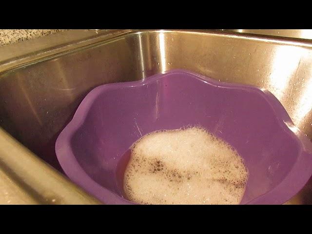 ASMR PINE POUR First Street Sani-Pine + Pinalen  Scrub Daddy Sponge