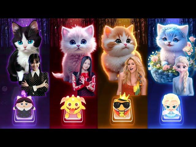 Cute Cats Dance | Wednesday Bloody Mary | Jisoo Flower | Shakira Waka Waka | Elsa Enemy | Cat Sings