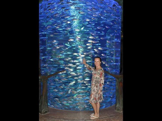 Aquarium in Atlantis “The Lost Chambers”