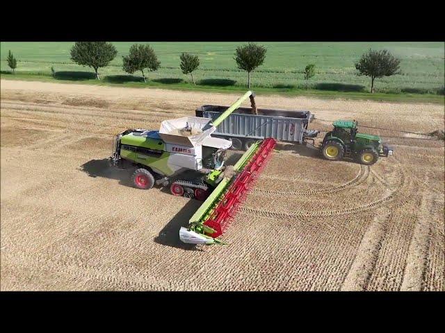 Claas Trion 660 Claas Lexion 770 Claas Lexion 8800 Ernte 2024 Rübsen & Gerste dreschen