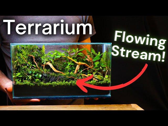 I Made a Terrarium With a FLOWING STREAM, Here’s How!