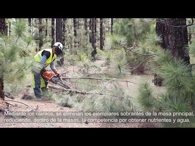 Los Realejos e Iserse-Graneritos - fondos FEDER