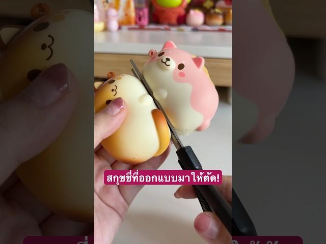 สกุชชี่ตัดออกมาจะเป็นยังไงน้า??  #ปประมาณนี้ #สกุชชี่
