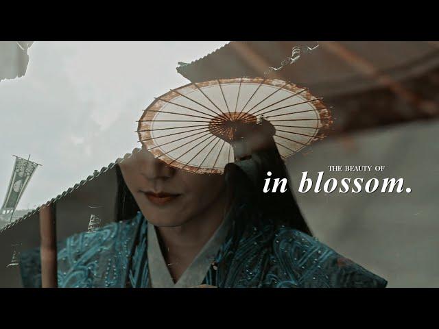 The Beauty of In Blossom.