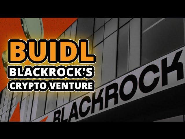 What is BUIDL - The BlackRock USD Institutional Digital Liquidity Fund? $BUIDL Cryptocurrency