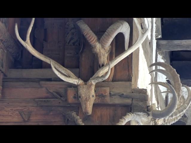 Hidimba Devi Temple "Dhungiri Temple" Beautiful ancient cave temple in Manali, India in 4k ultra Hd