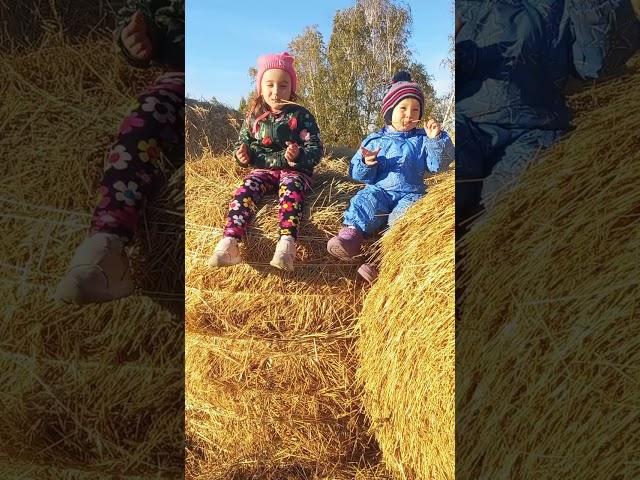 Детство в деревне