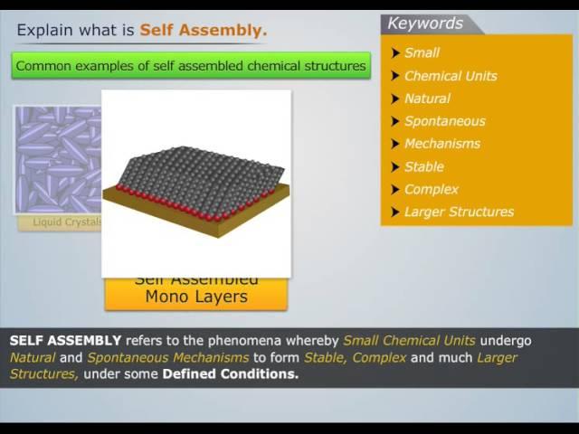 What is Self Assembly? | Engineering Chemistry