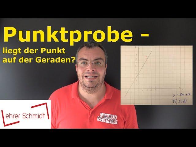 Punktprobe - Liegt der Punkt auf der Geraden? | Mathematik - einfach erklärt | Lehrerschmidt