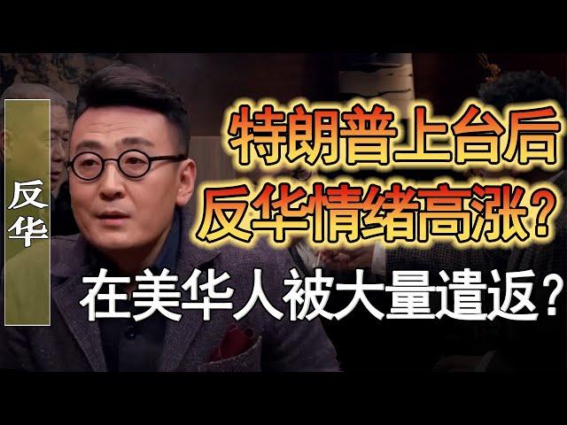 川普上台後反華情緒高漲？在美華人被大量遣返？中美矛盾再次加劇？#竇文濤 #圓桌派 #人生感悟