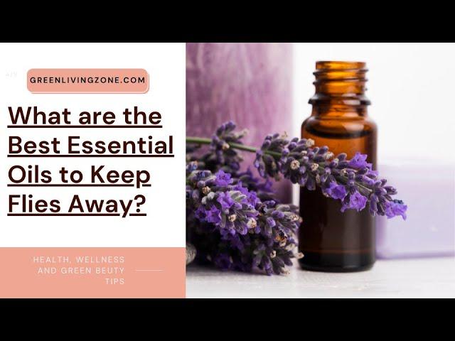 What are the Best Essential Oils to Keep Flies Away