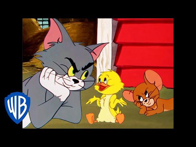 Том и Джерри | Кря-кря, Крякер! | WB Kids