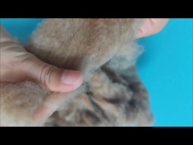 camel hair for bedding and pillows