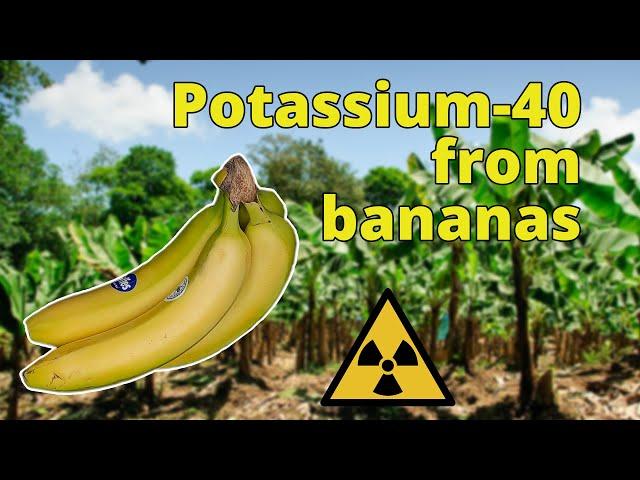 Potassium - 40 from radioactive bananas - Nuclear Chemistry