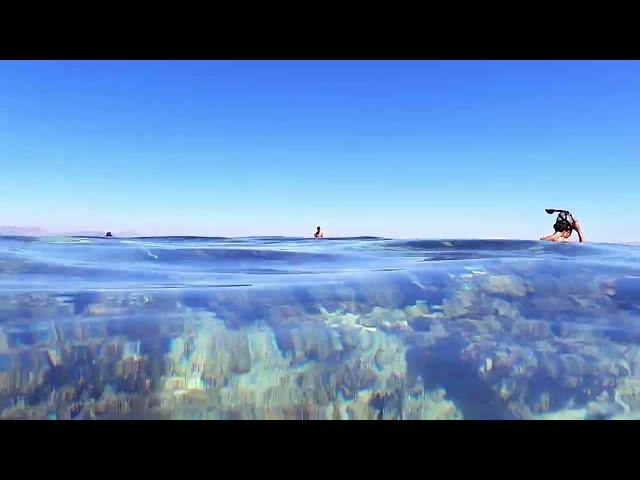 GH010832 Swim with me on #swimTV in Crystal Clear waters of the Red Sea, Eel Garden, Dahab