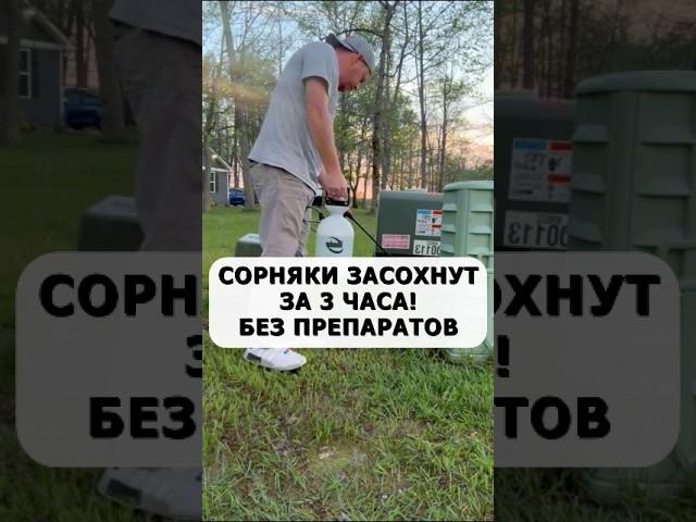 Сорняки боятся это средство как огня. Засохнут без химии и препаратов #огород #дача #сад #сорняки