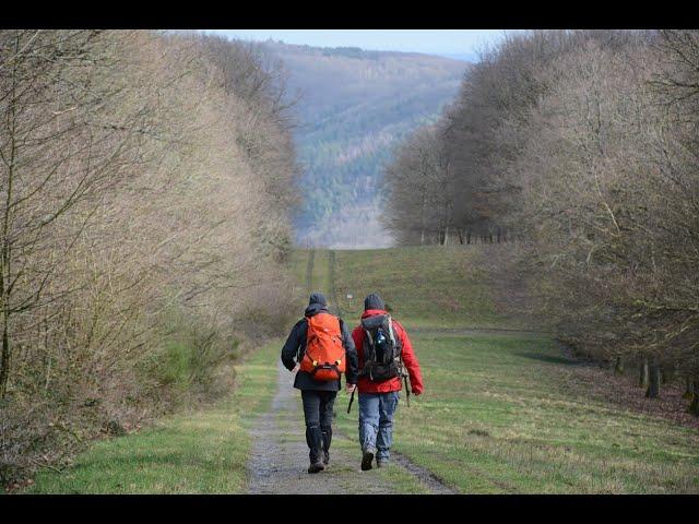 WILDNIS TRAIL (Eifel National Park, Germany)