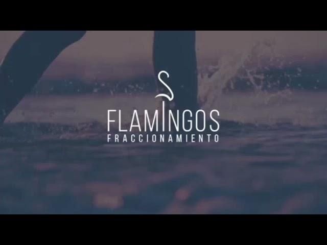 Fraccionamiento Flamingos