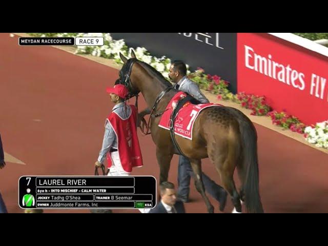 LAUREL RIVER (USA) - DUBAI WORLD CUP (G1) - 30/03/2024