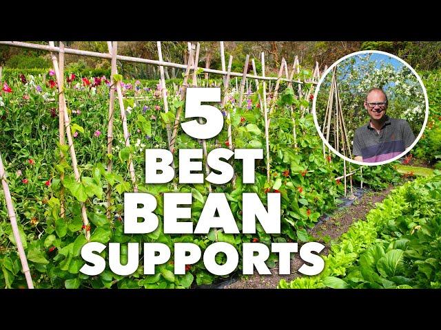 5 Best Bean Poles, Frames and Supports for Your Garden