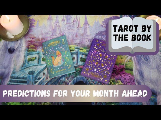 Tarot by the Book with the Affirmators Tarot | Month Ahead Reading for the Collective