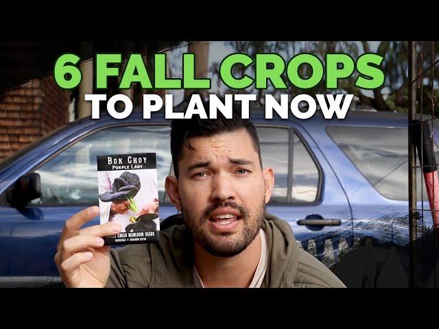 6 Fall Crops To Plant Now and Grow Through Winter