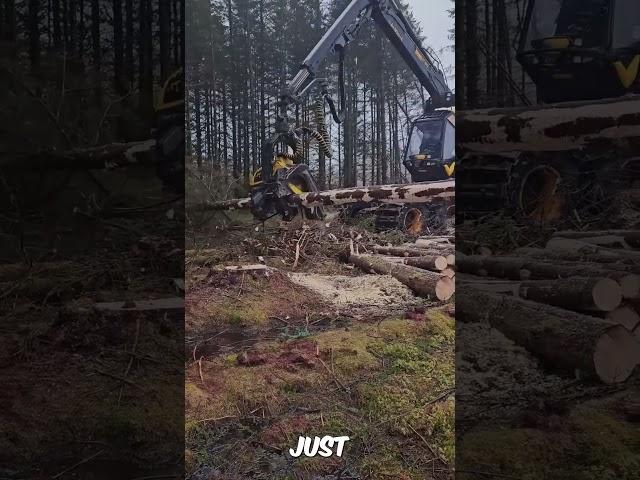 Ponsse Scorpion King - Tree Harvester (@bytetechie)