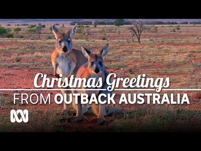 Merry Christmas from Outback Australia - 2024 video postcard from Chris Tangey  | ABC Australia