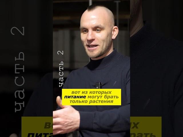 Как черви создают плодородную почву на планете Земля #органическоеудобрение #биогумус #вермиферма