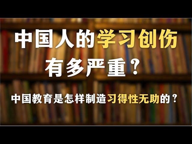 中国人的学习创伤有多严重？中国教育是怎样制造习得性无助的？学不会是因为自己太笨吗？｜学习｜自我成长｜教育｜自由学习｜哲学｜心理学｜