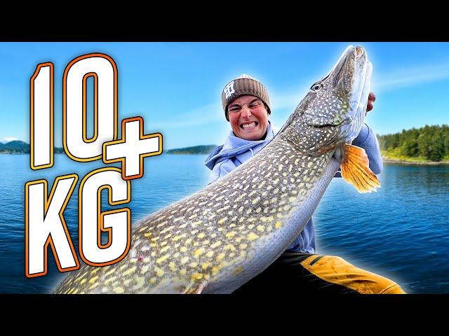 DREAM FISHING: Our BEST Pike Fishing from Boat with 10+ PIKE