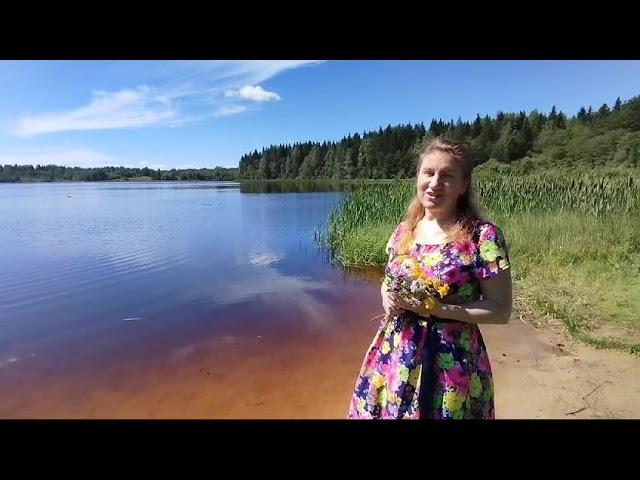"Для счастья не нужно особой причины.." Стихотворение, Шинкарева Светлана