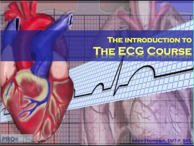 The ECG Course - Introduction