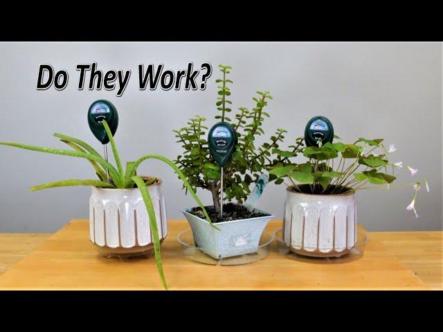 Plant Moistures Sensors Tests and Secrets to Success