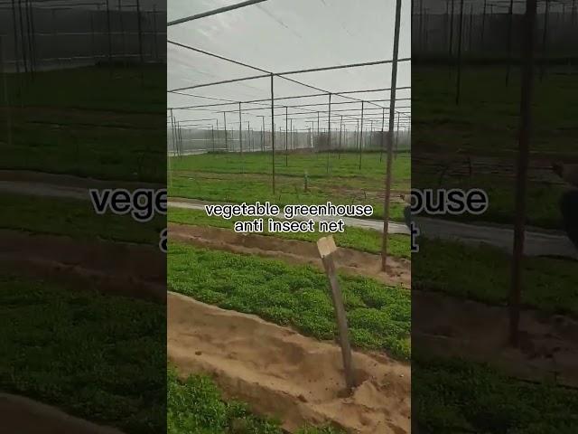 Agriculture Hdpe Plastic Anti Insect Mesh Insect Proof Net