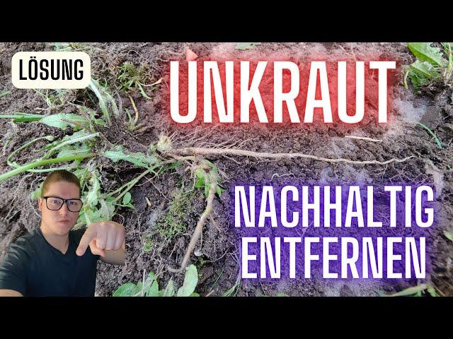 Unkraut entfernen, Unkraut vernichten NACHHALTIG