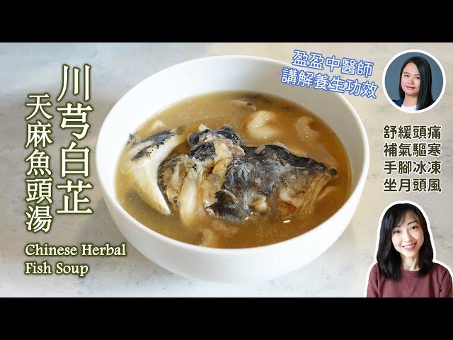 【養生食譜】川芎白芷天麻魚頭湯 如何去魚湯腥味 女士養生 產後 中醫師講解功效 Chinese Herbal Fish Soup Chinese recipe after giving birth