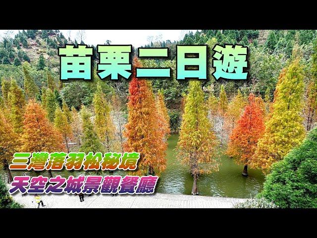 苗栗二日遊，龍騰斷橋+天空之城景觀餐廳+鯉魚潭水庫+卓蘭採橘子+大湖採草莓+三灣落羽松秘境+功維敘隧道+泰安泡溫泉