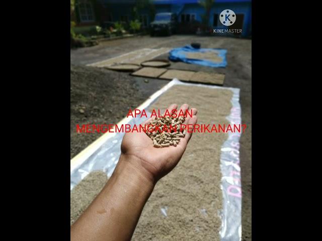 28462021 | AL FAQIHIYAH | 510032070702 | JAJA MUJAHIDUL HUDA | KAB. CIAMIS | #OPOP2021