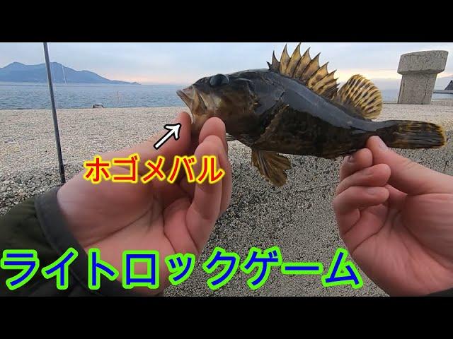 【ライトゲーム】堤防でカサゴ釣りに挑戦!!