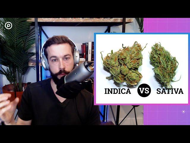 Indica vs Sativa: The Scientific Truth About Cannabis