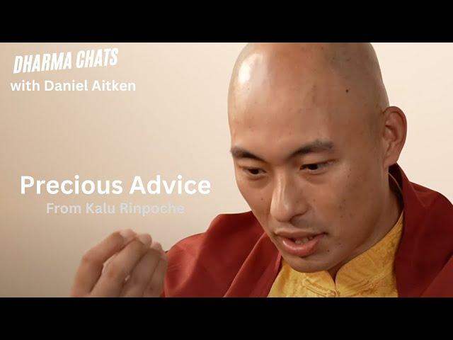 Spiritual Advice for Practitioners from Kalu Rinpoche