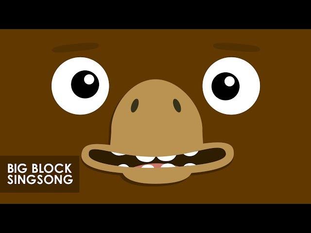 Big Block Singsong | Moose