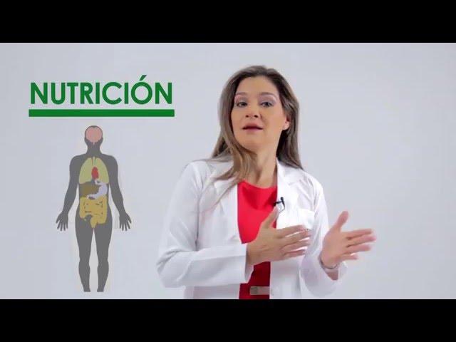 Nutrición: ¿Qué es la nutrición?